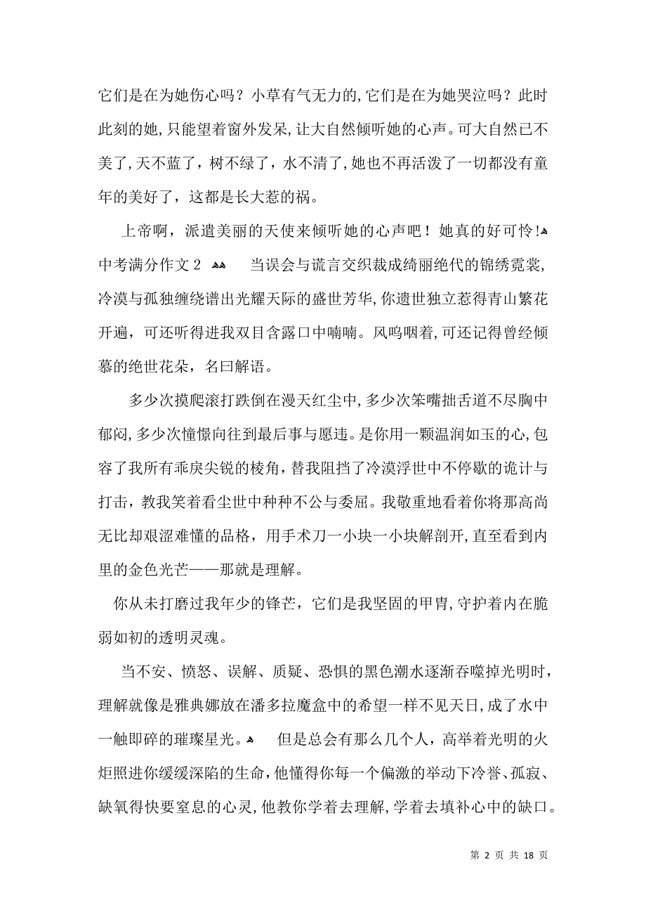 热中考满分作文_第2页