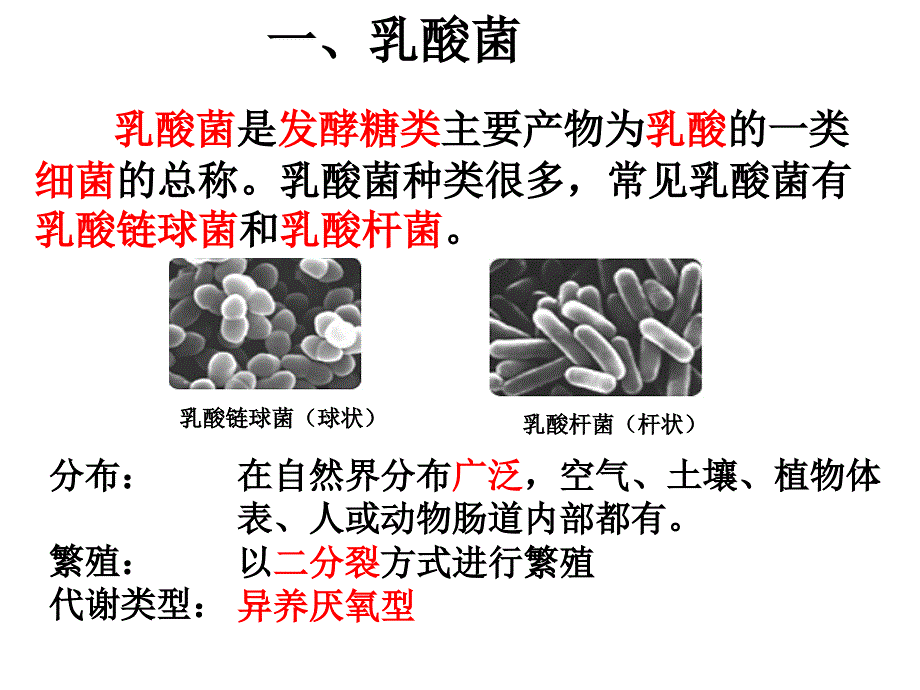 课题3.制作泡菜并检测亚硝酸盐含量精品教育_第3页