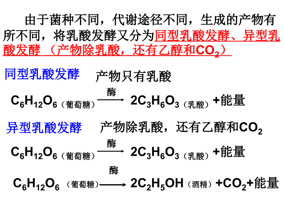 课题3.制作泡菜并检测亚硝酸盐含量精品教育_第4页