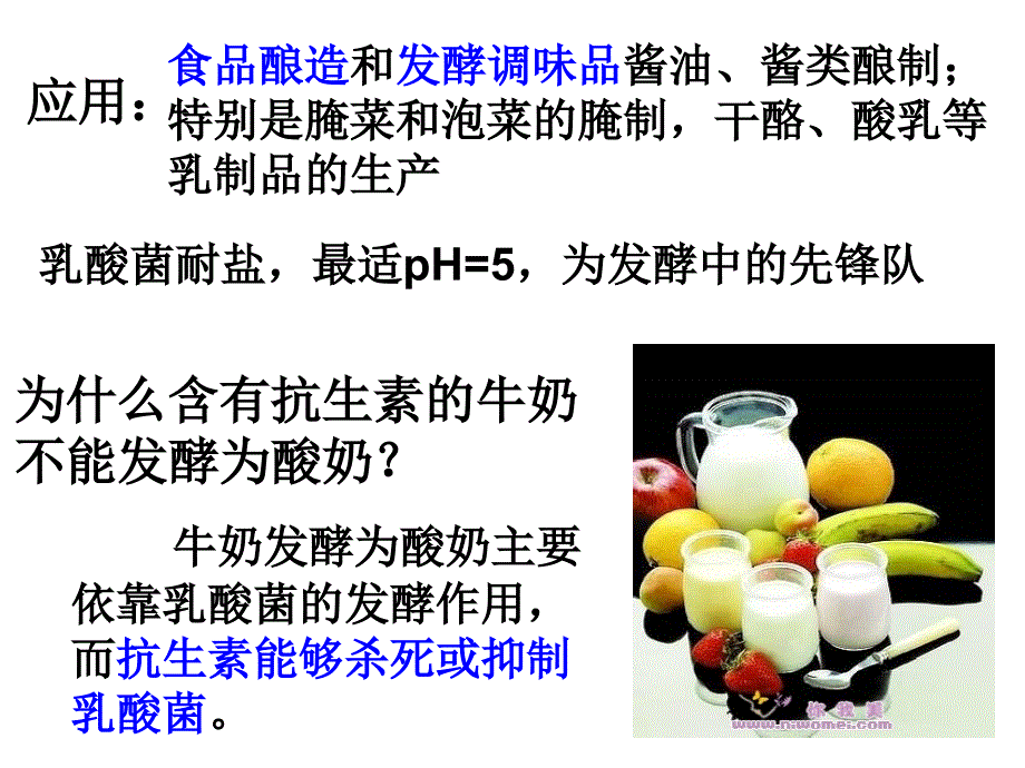 课题3.制作泡菜并检测亚硝酸盐含量精品教育_第5页