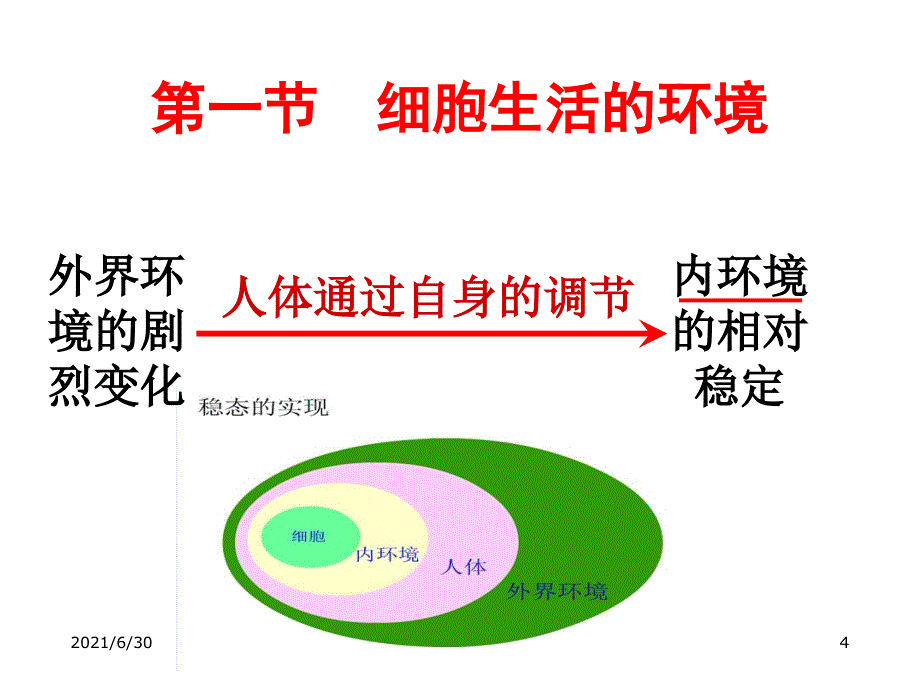 细胞生活的环境 课件_第4页