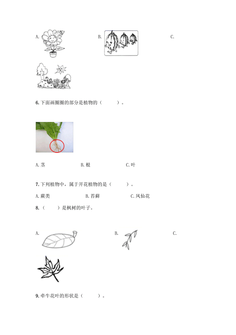 教科版科学一年级上册第一单元《植物》知识点测试卷(模拟题)word版.docx_第2页