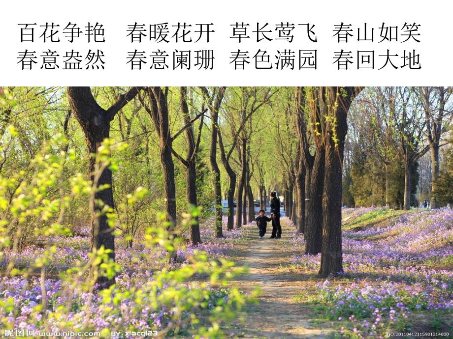 《只拣儿童多处行》语文S版四年级下册_第1页