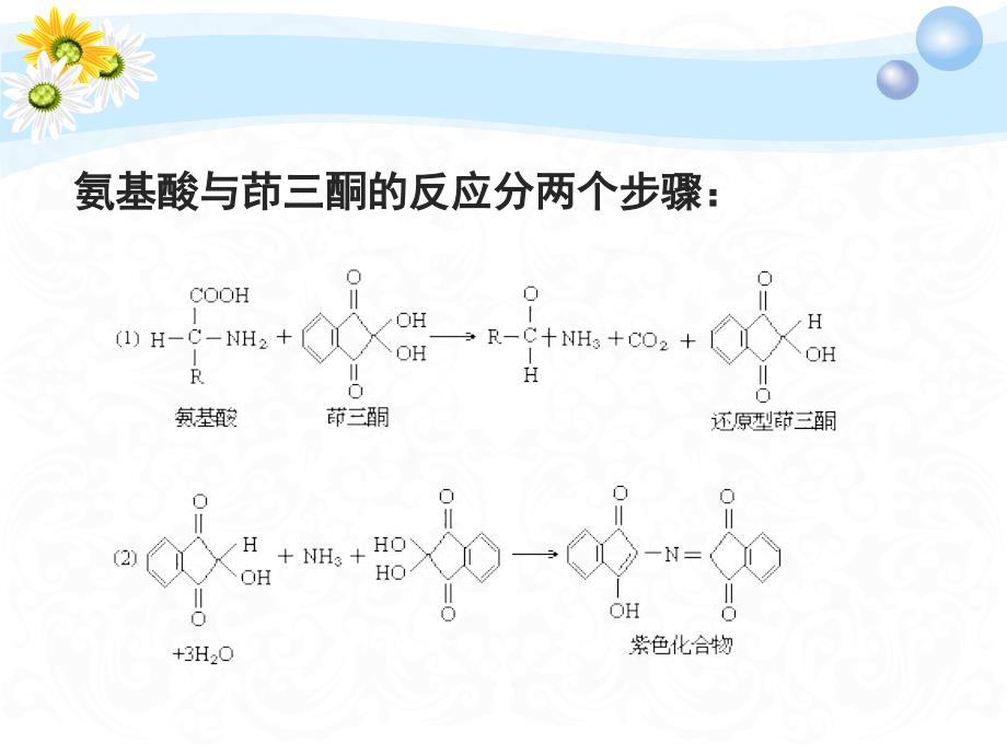 氨基酸含量的测定茚三酮比色法_第2页