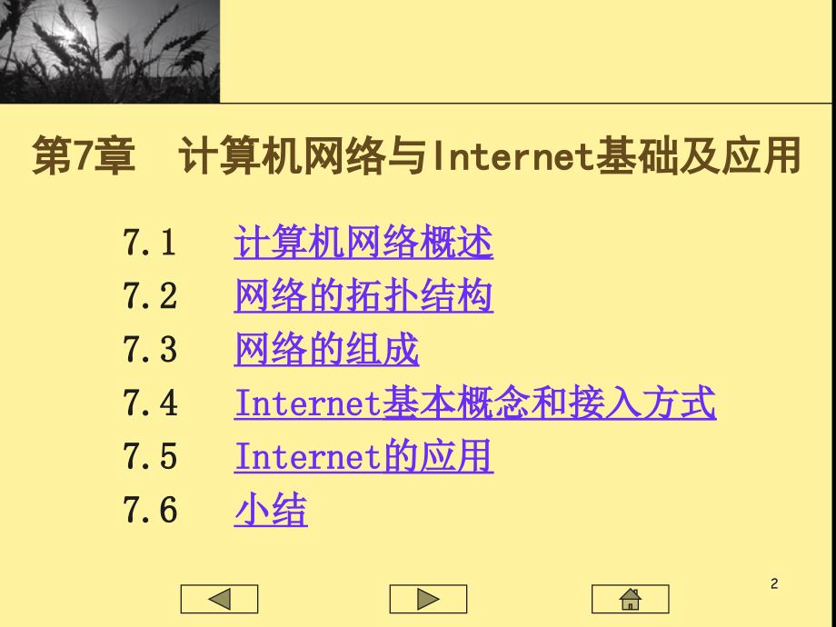 第7章计算机网络与Internet基础及应用_第2页