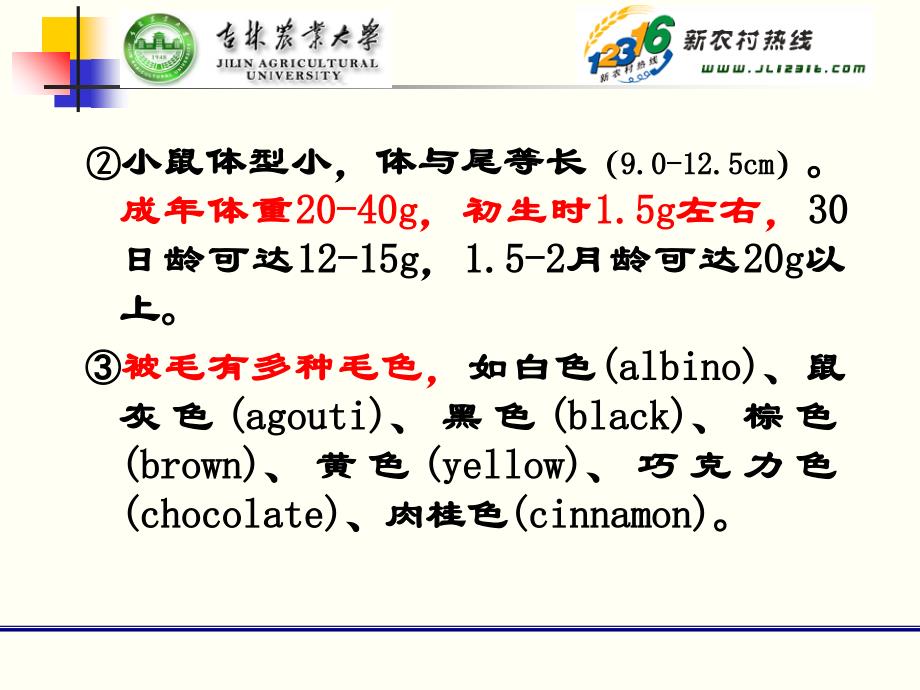 常用实验动物小鼠PPT课件_第4页