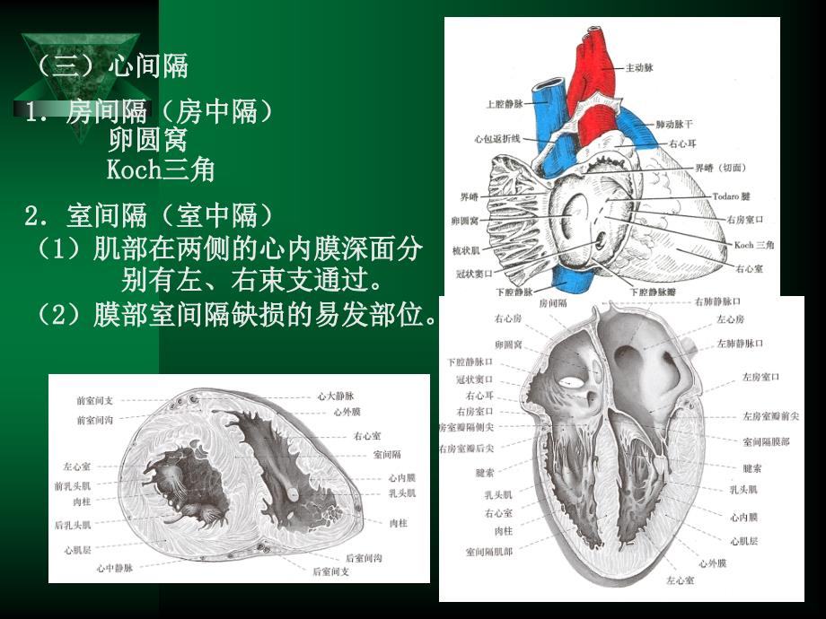 循环系统疾病修改_第4页