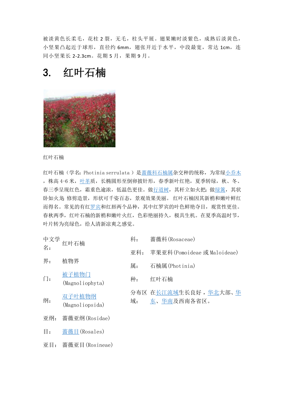 洛浦公园植物.docx_第4页