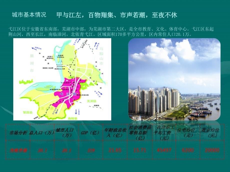 安徽芜湖弋江区项目可行性报告_第5页