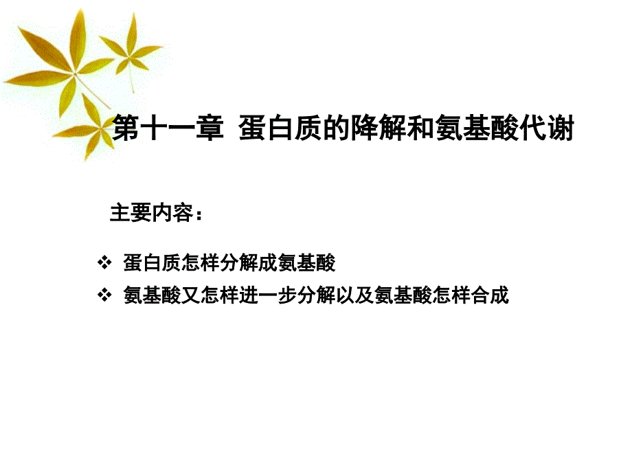 第十一章蛋白质的降解和氨基酸代谢_第1页