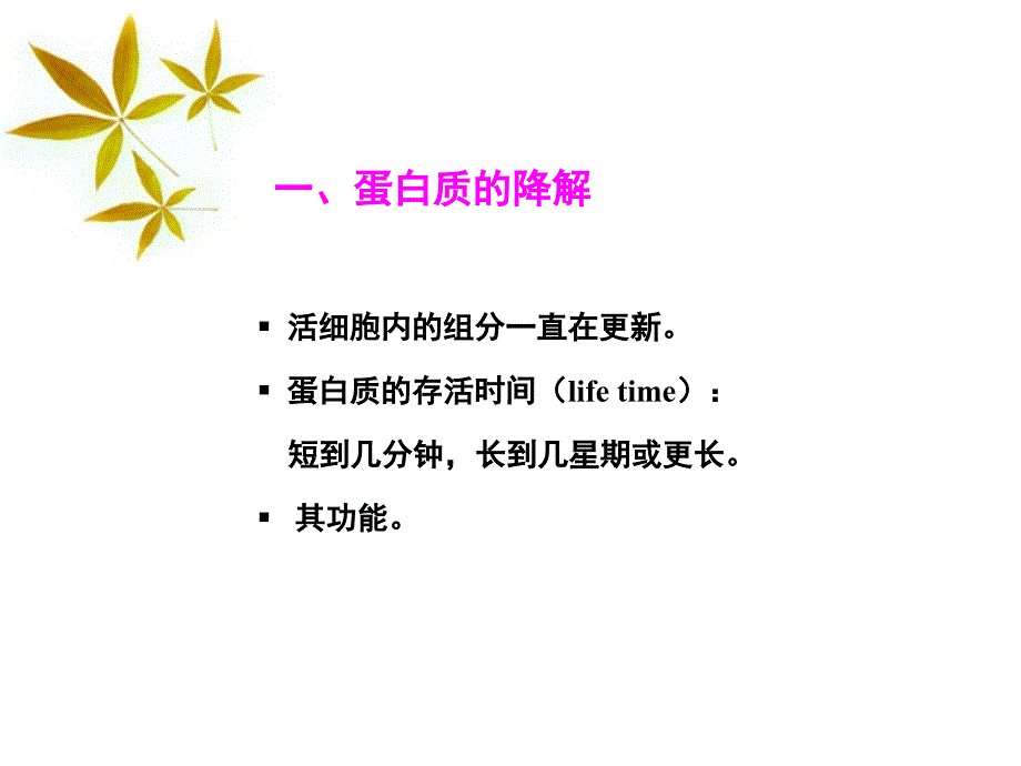 第十一章蛋白质的降解和氨基酸代谢_第2页