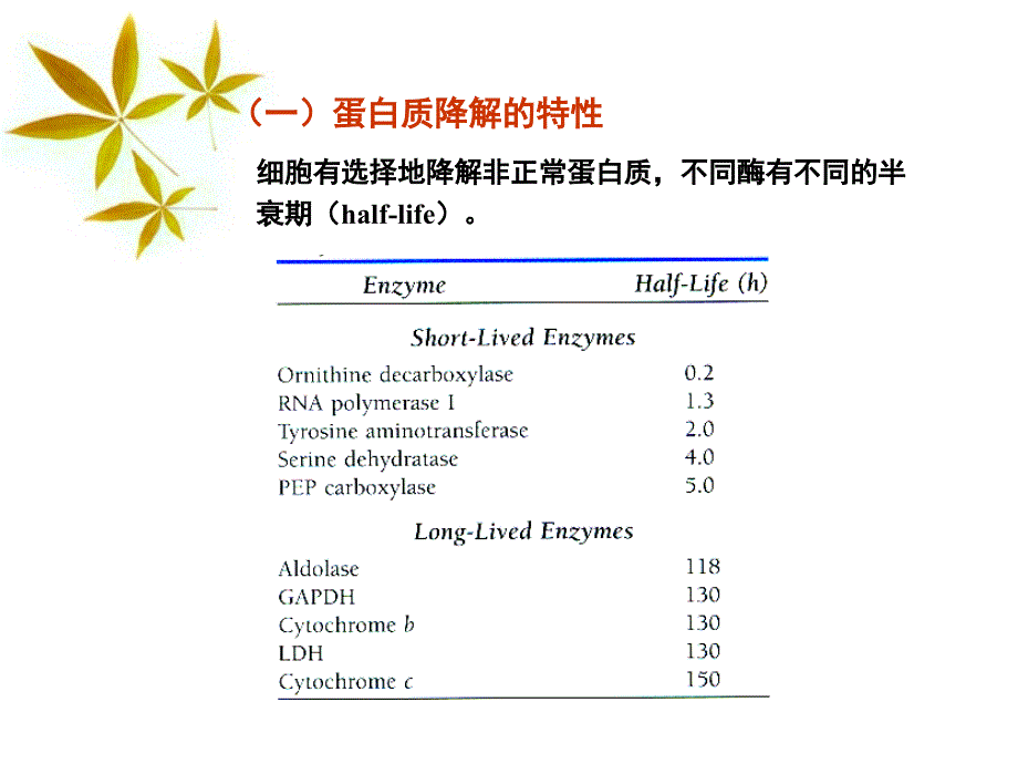 第十一章蛋白质的降解和氨基酸代谢_第3页