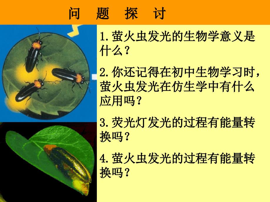 高中生物 第五章 细胞的能量供应和利用 第二节 细胞的能量通货-ATP课件 新人教版必修11_第4页