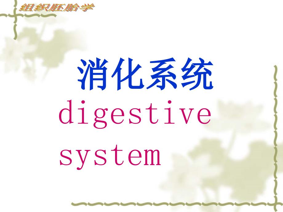 消化系统细微结构课件_第1页