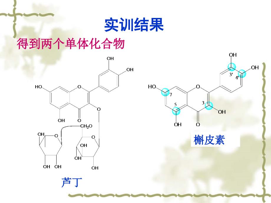 槐米中芦丁的提取分离与鉴定_第4页