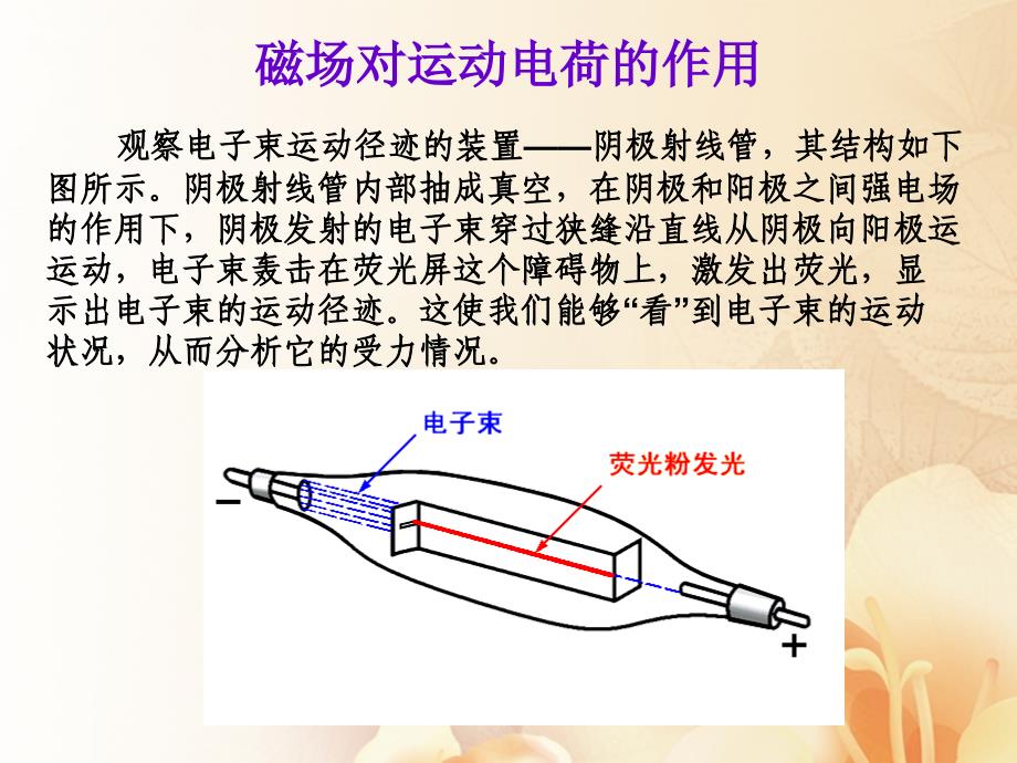 广东省佛山市高中物理第一章电与磁第六节洛伦兹力初探课件粤教版选修11_第2页