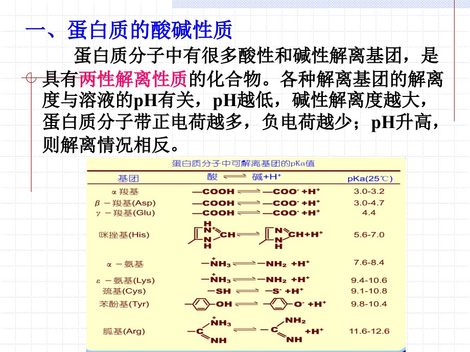 第七章蛋白质分分离纯化和表征09_第2页