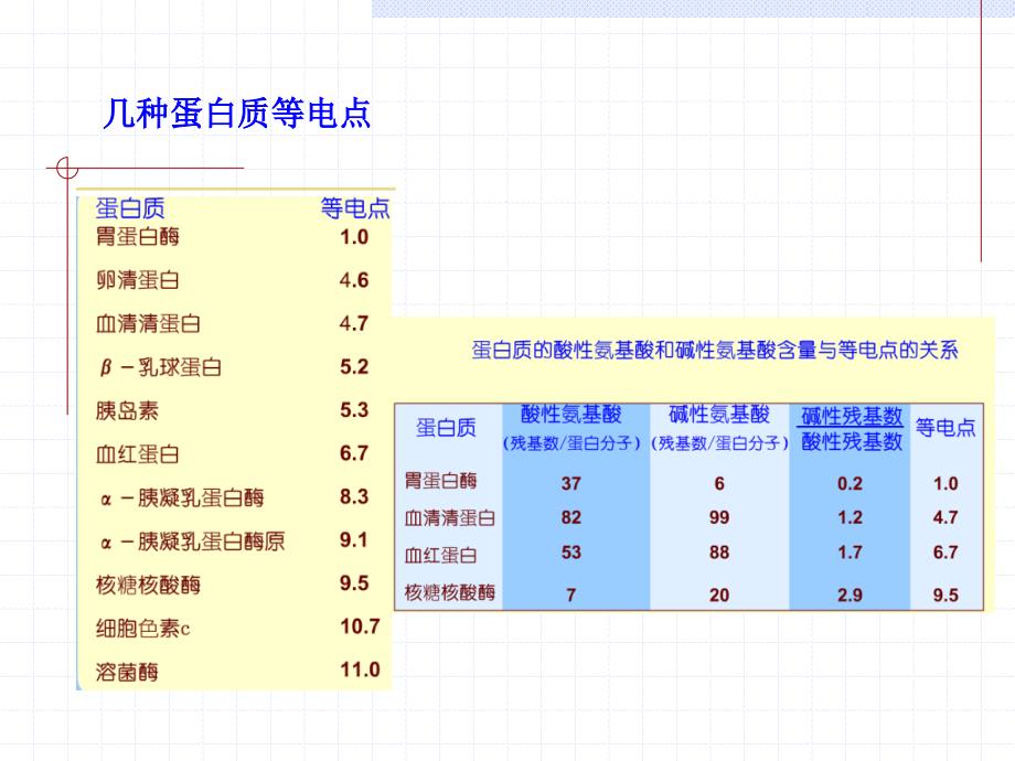 第七章蛋白质分分离纯化和表征09_第4页