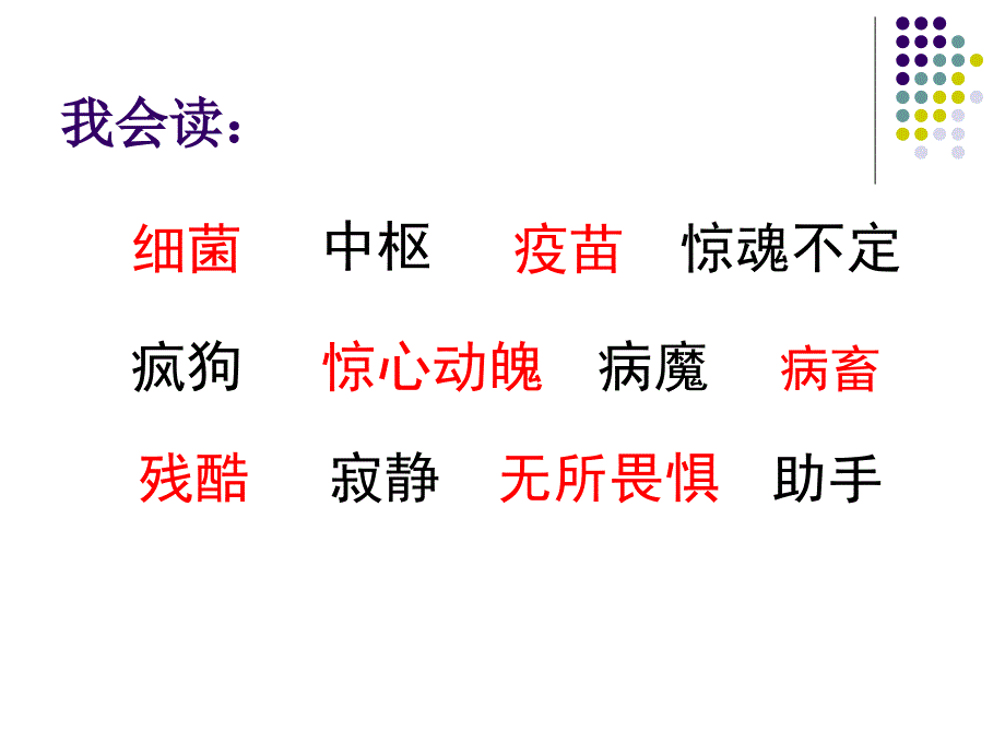 巴斯的征服狂犬病课件6_第2页