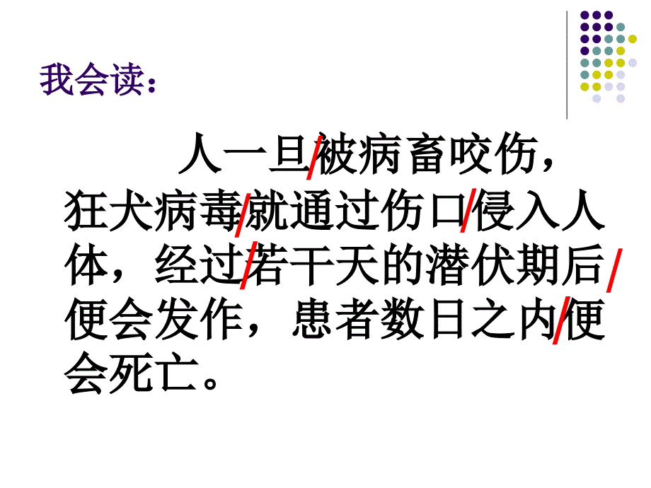 巴斯的征服狂犬病课件6_第3页