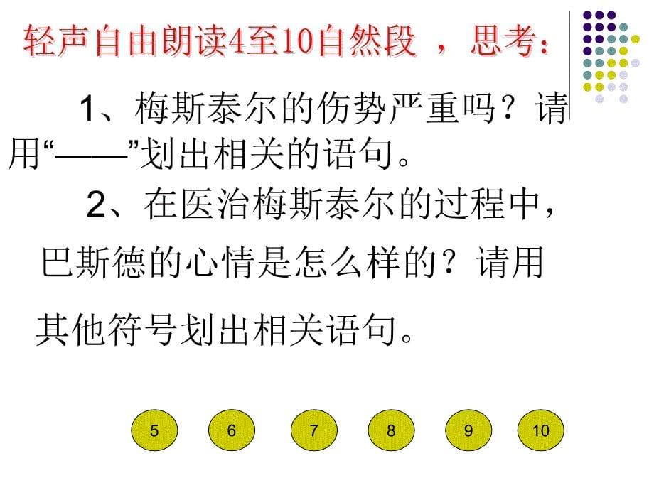 巴斯的征服狂犬病课件6_第5页