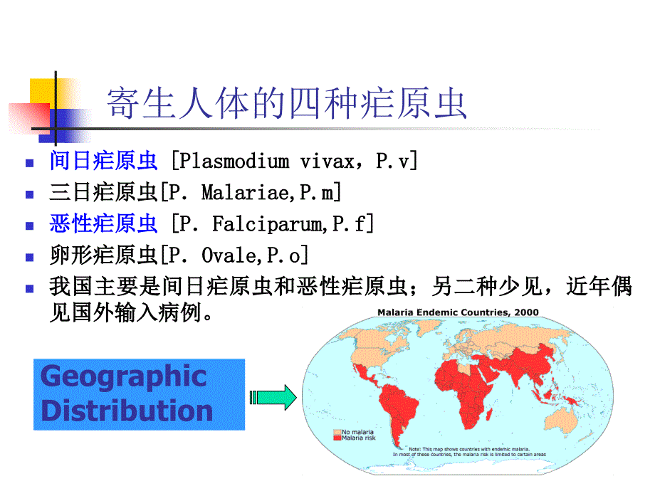 人体寄生虫学-疟原虫_第4页