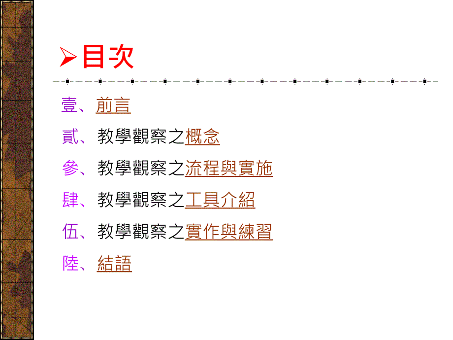 教师专业发展评鉴之教学观察系统_第2页