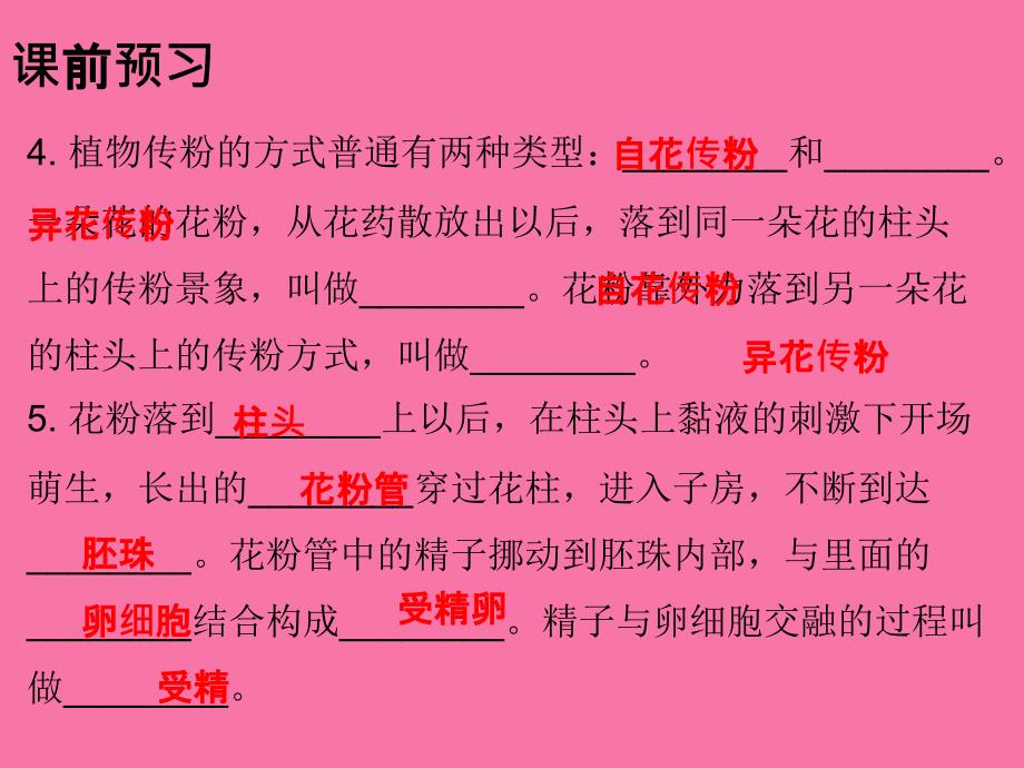 人教版七年级生物上册3.2.3开花和结果ppt课件_第4页