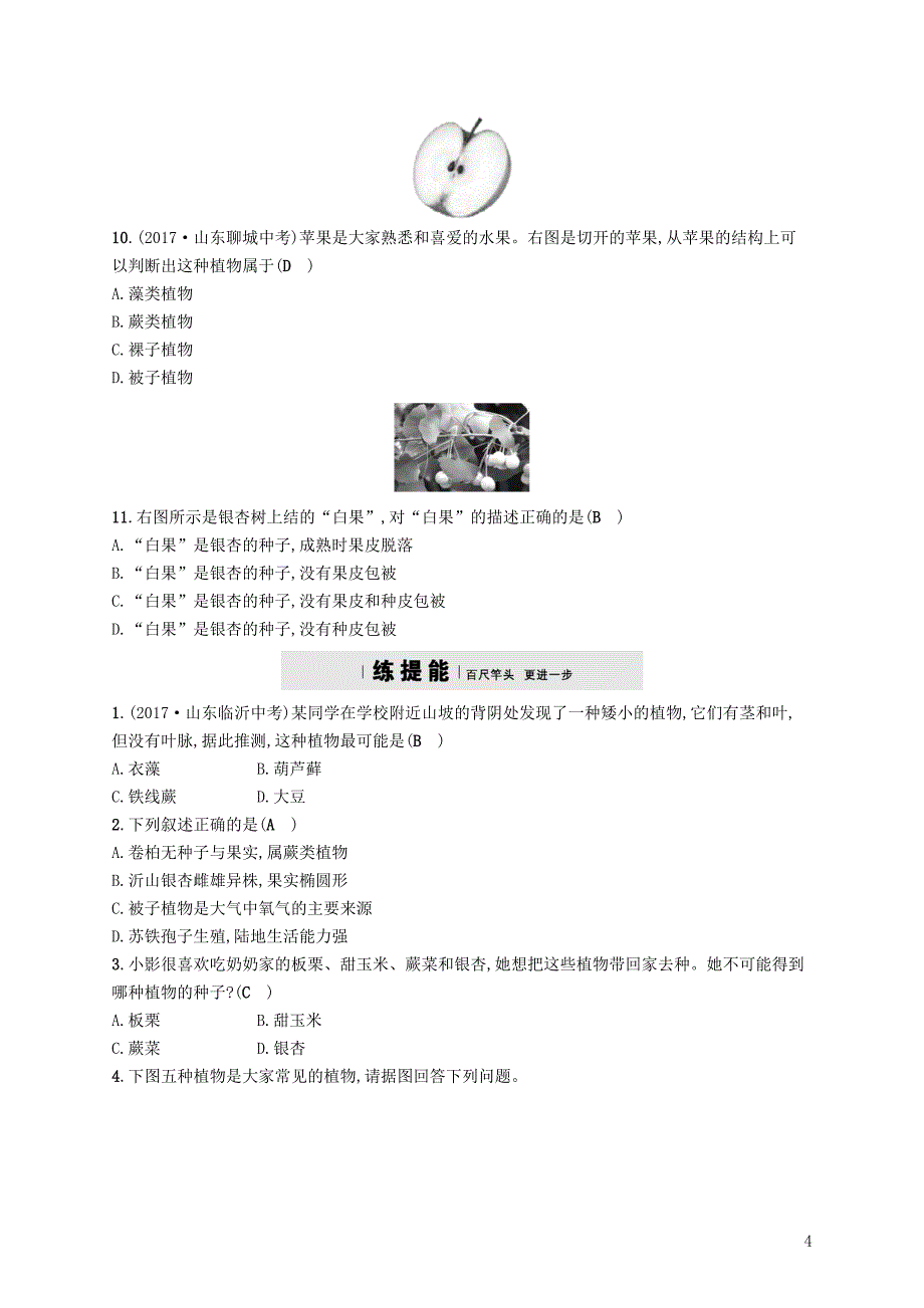 2018学年八年级生物下册 第22章 第3节 植物的主要类群精练 （新版）北师大版_第4页