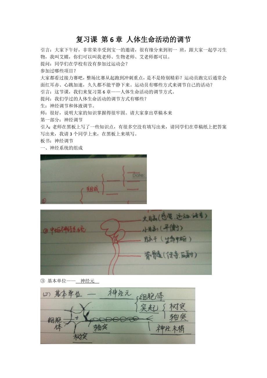 第6章人体生命活动的调节_第1页