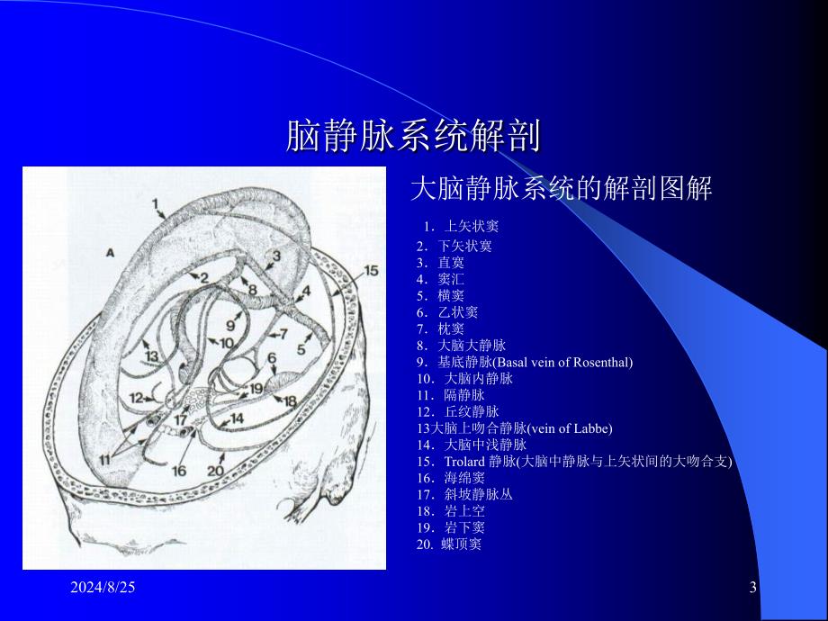 颅内静脉窦血栓形成_第3页