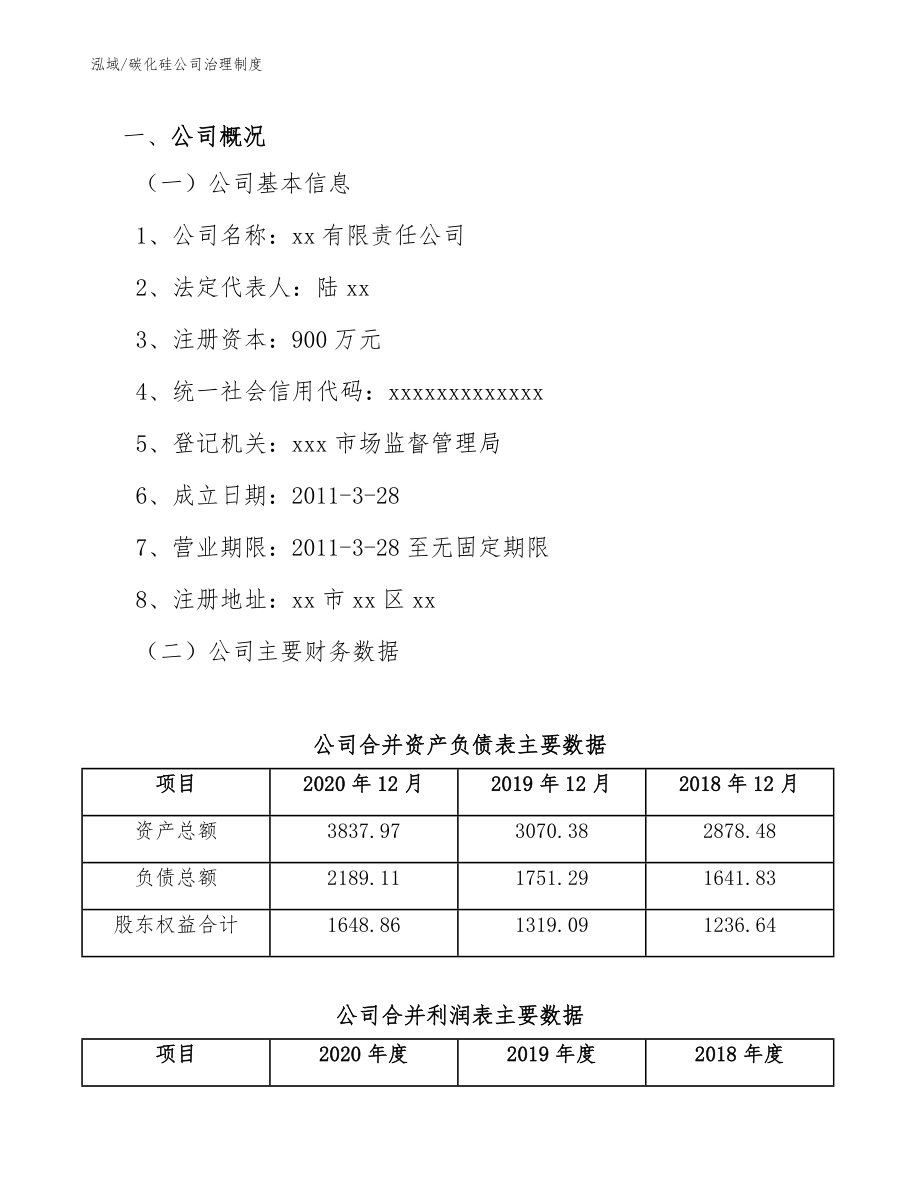 碳化硅公司治理制度_第3页