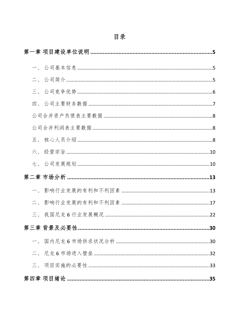 秦皇岛聚酰胺6切片项目可行性研究报告_第1页