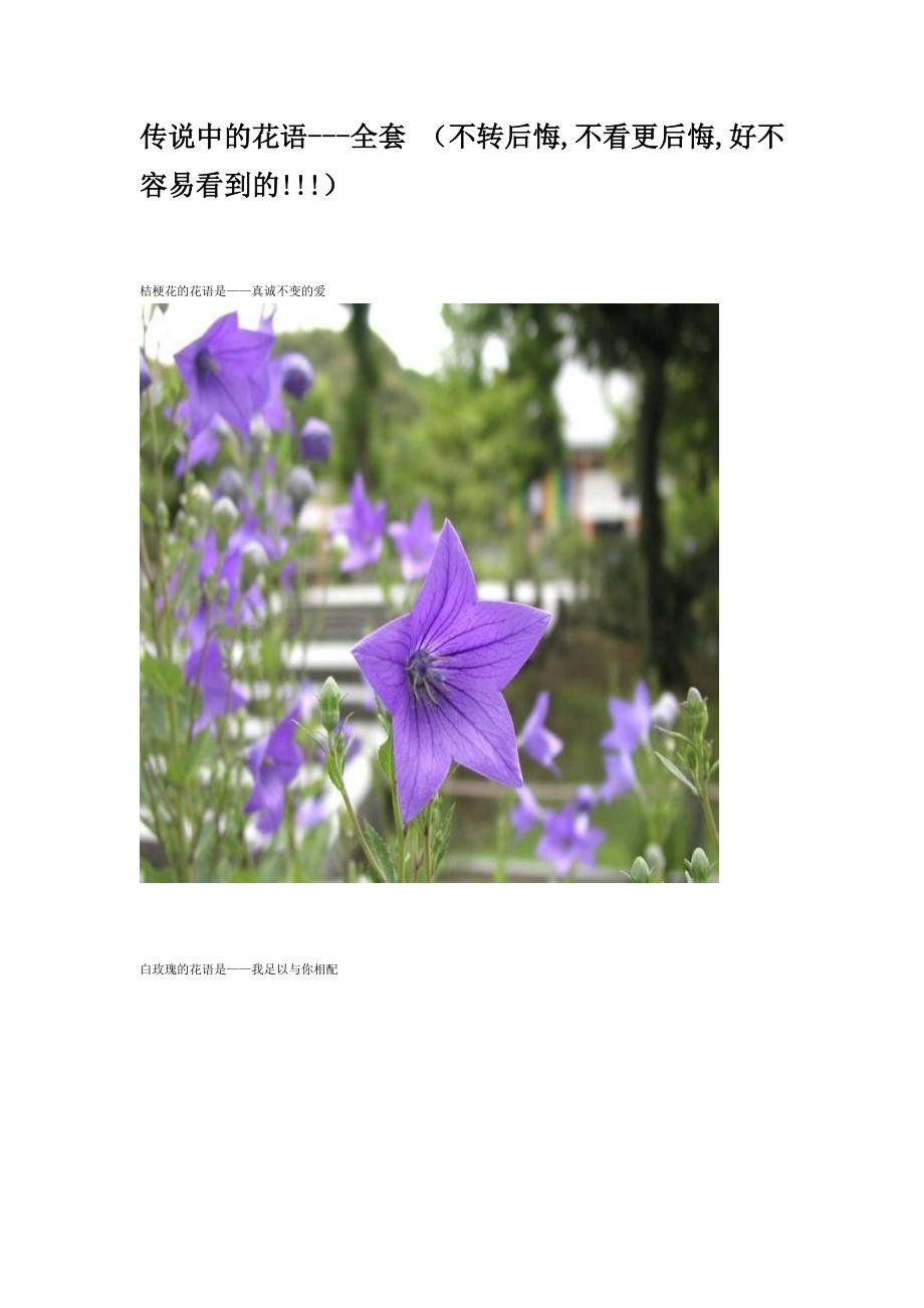 超级经典---传说中的全套花语.doc_第1页