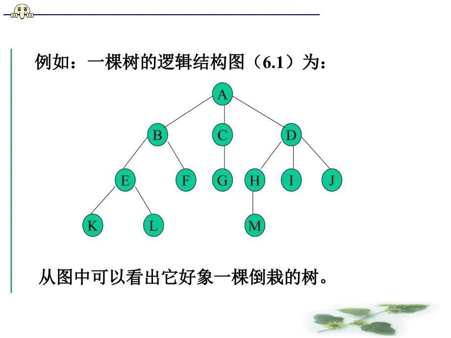 教学课件第6章树和二叉树_第5页