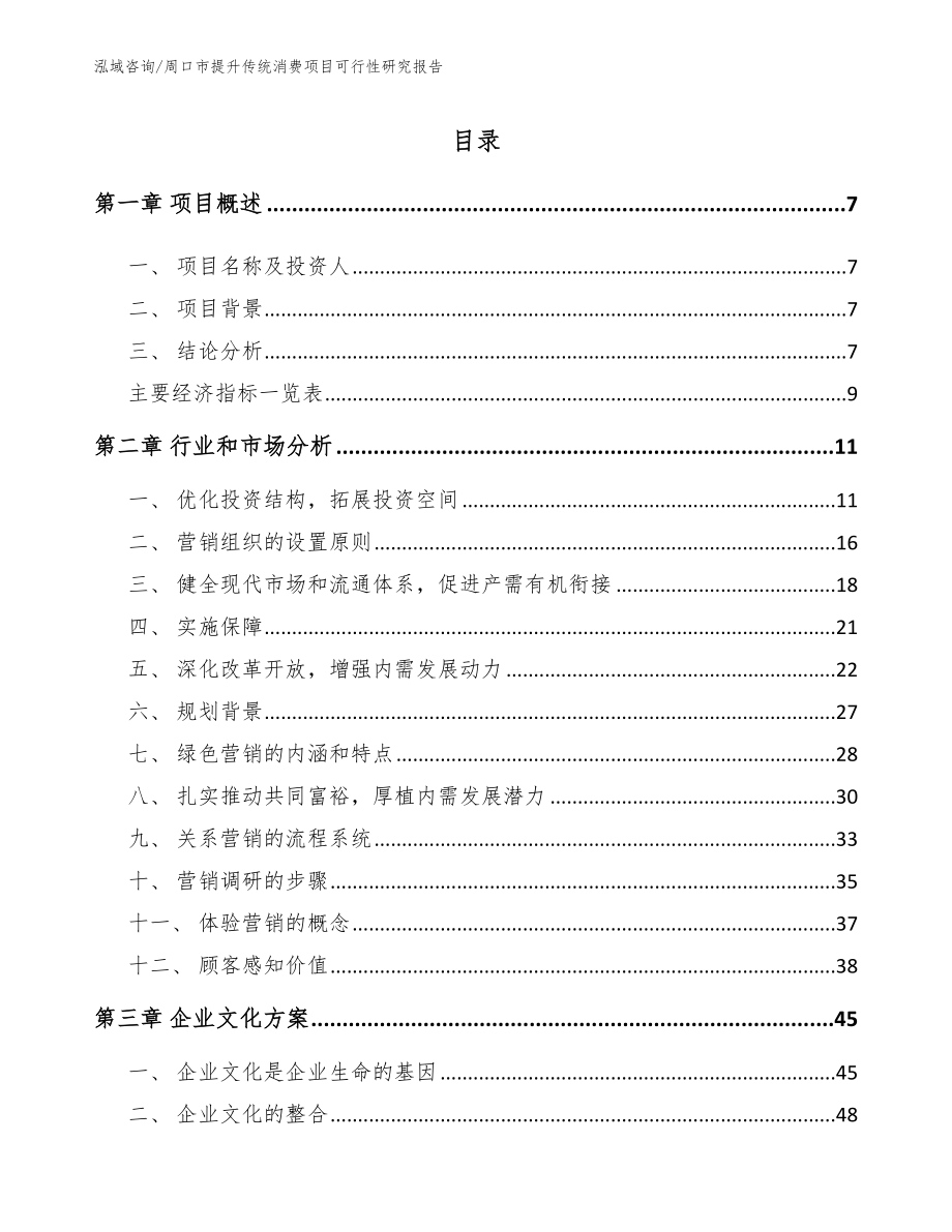 周口市提升传统消费项目可行性研究报告_模板_第3页