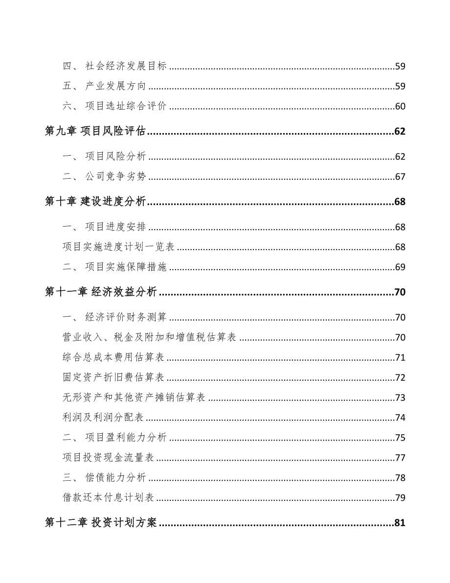 关于成立吸塑托盘公司可行性研究报告(DOC 71页)_第5页