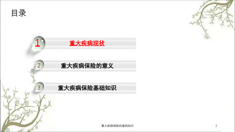 重大疾病保险的基础知识课件_第2页