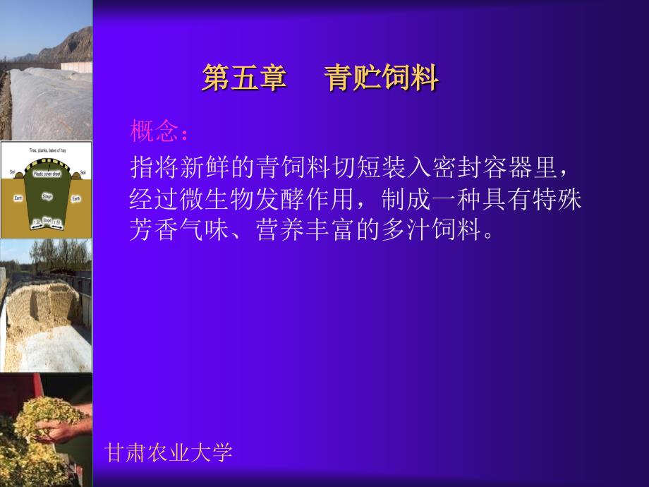 第五章青贮饲料PPT课件_第1页