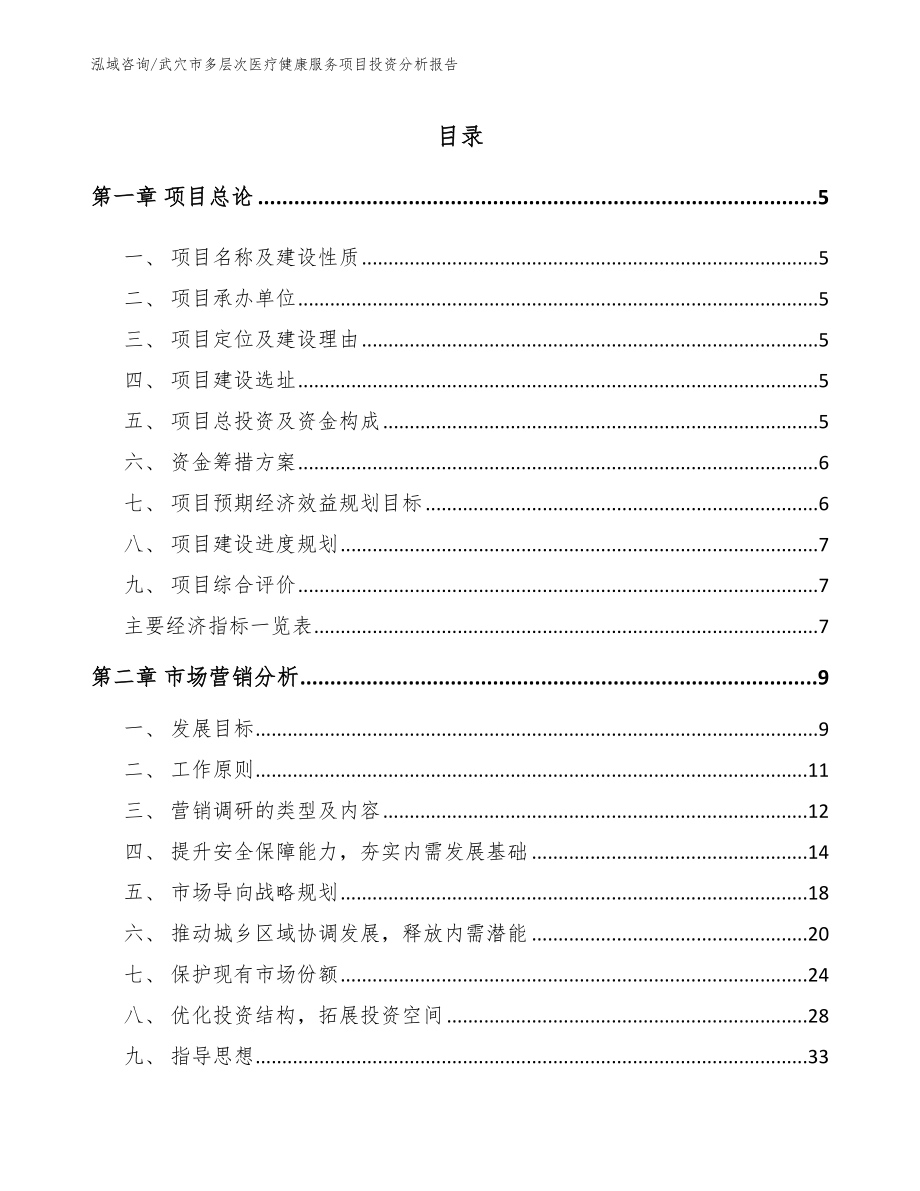 武穴市多层次医疗健康服务项目投资分析报告模板参考_第1页