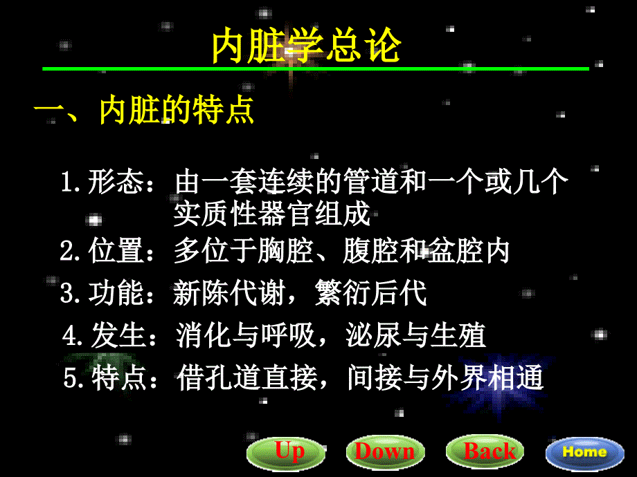 《内脏消化》PPT课件_第3页