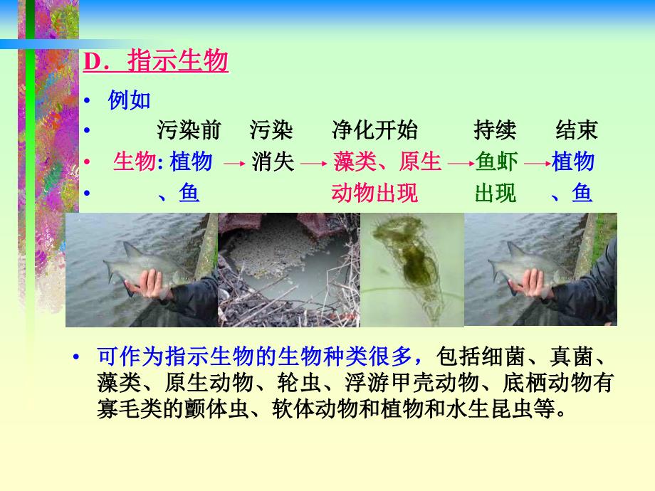 水源地藻类控制有哪些方法_第2页