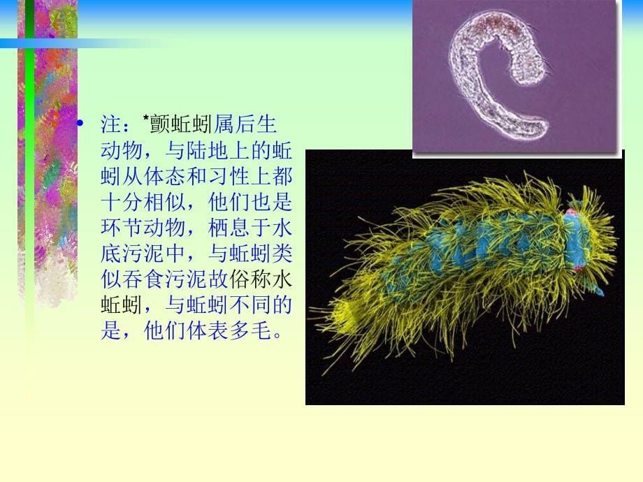 水源地藻类控制有哪些方法_第5页