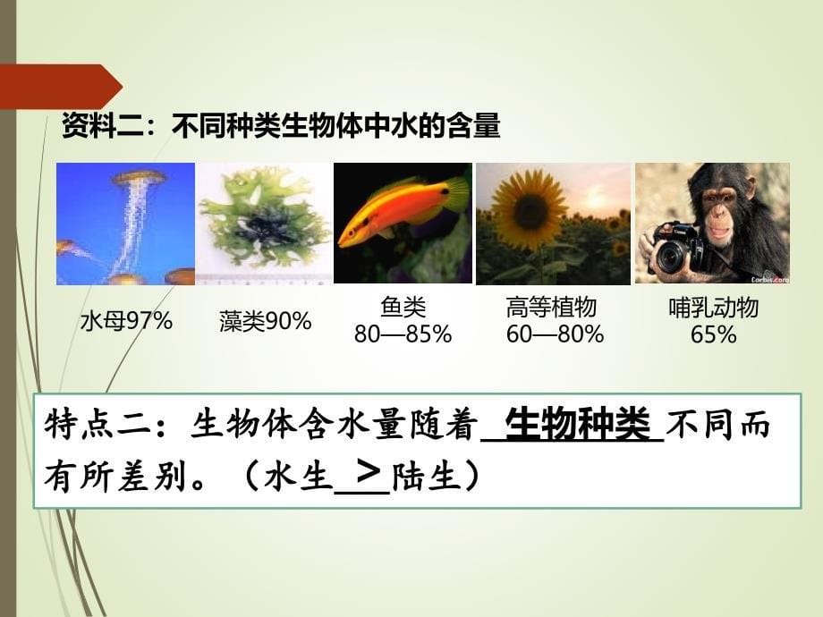 专题08细胞中的无机物高一生物人教版必修一同步课件_第5页