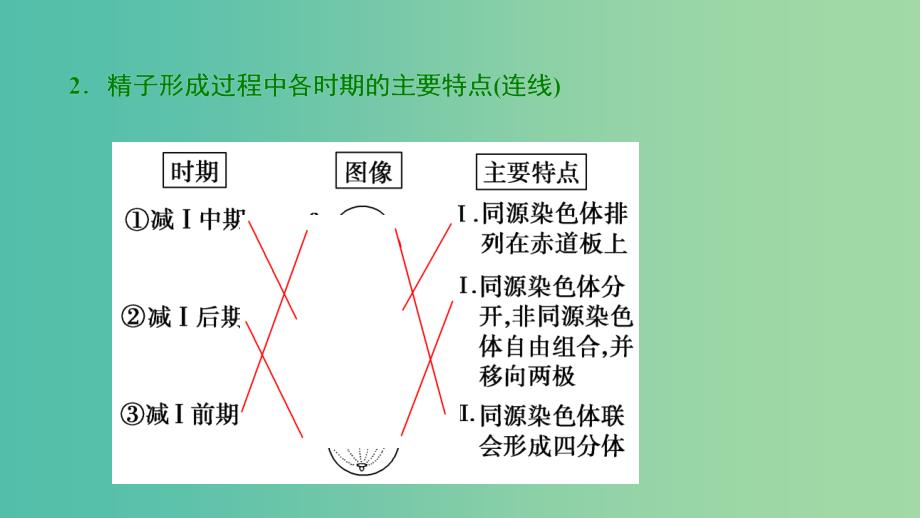 高考生物大一轮复习第四单元细胞的生命历程第2讲减数分裂和受精作用课件.ppt_第4页