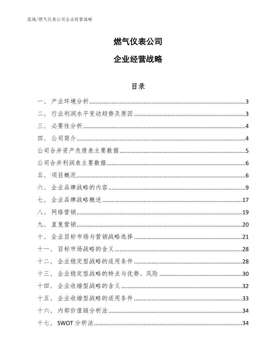 燃气仪表公司企业经营战略_第1页