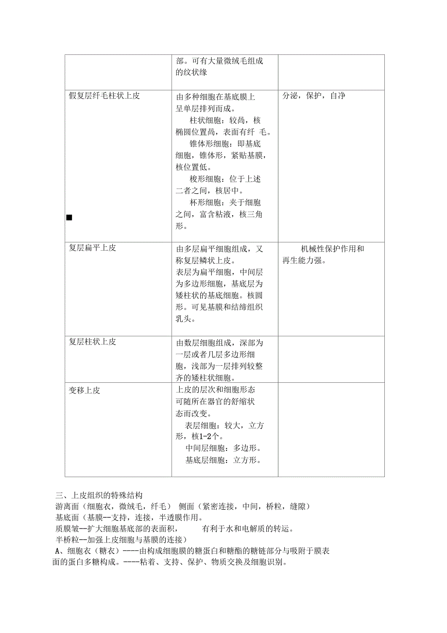 组织学与胚胎学重点_第3页