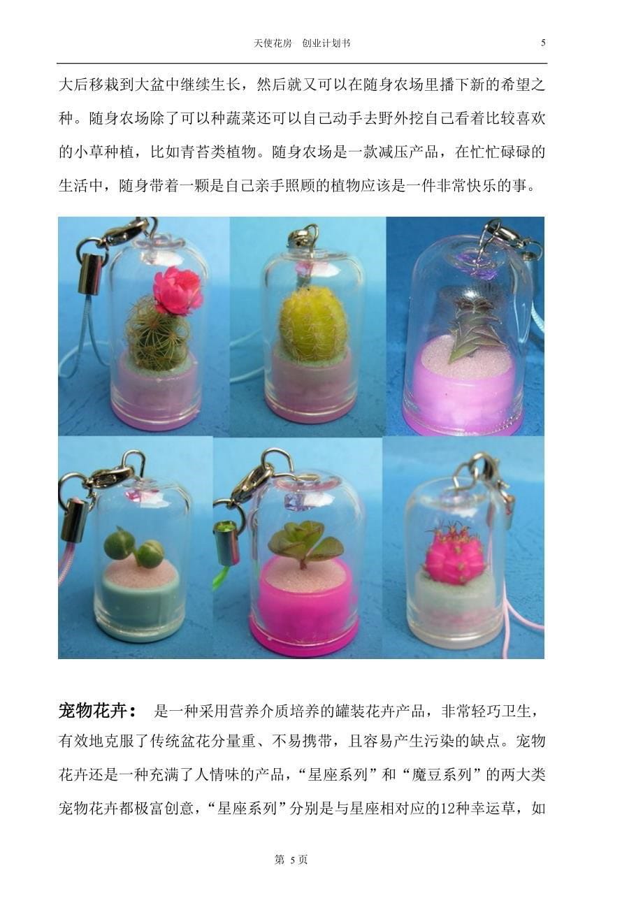 小植物婴儿植物项目创业计划书_第5页