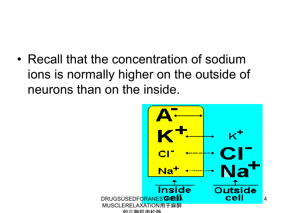 DRUGSUSEDFORANESTHESIAMUSCLERELAXATION用于麻醉的药物肌肉松弛课件_第4页