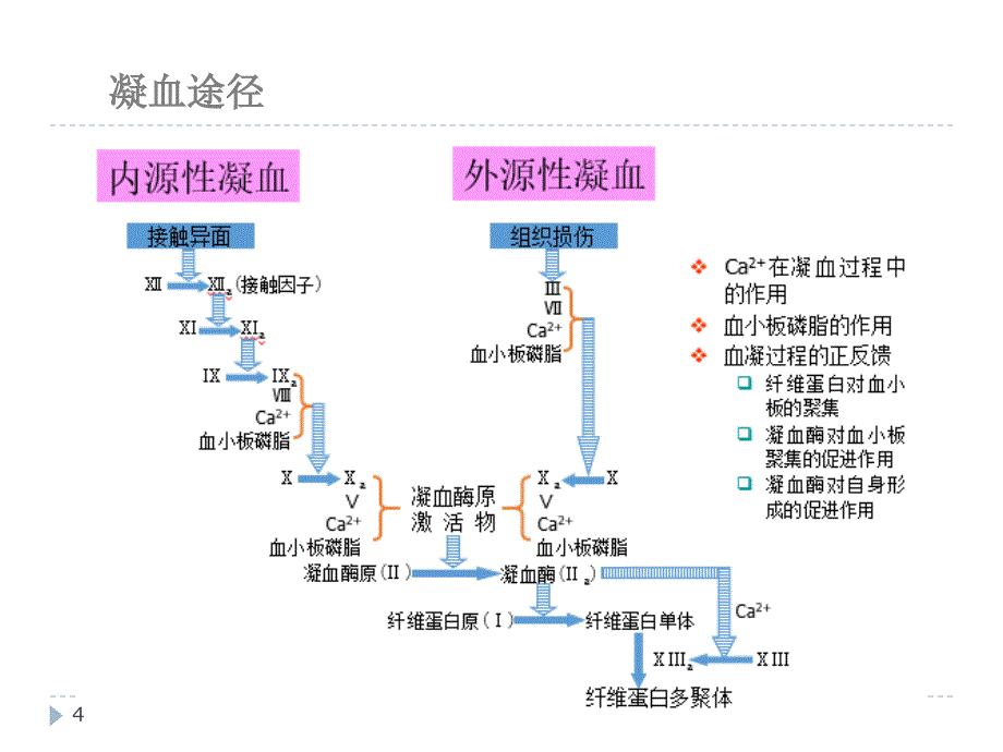 CFMS血栓弹力图骨科课件_第4页